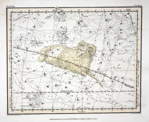 Konstellationerna (platta XIII) Väduren och Musca Borealis, från "A Celestial Atlas" av Alexander Jamieson, pub. London 1822 (handfärgad gravyr)